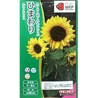 Amazon.co.jp: Takii Seedlings, Sunflower F1 Summer Sunrich Pine 45
